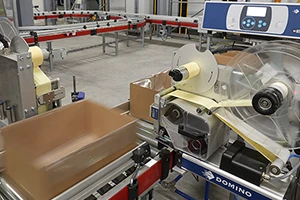 Corporativo Domino's