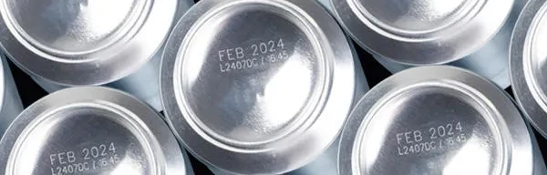 Fechadoras Automáticas Domino Printing Fabricante Venta